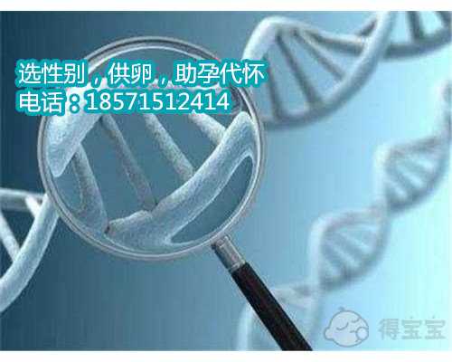 南京全国助孕群,新生儿黄疸常用的中药
